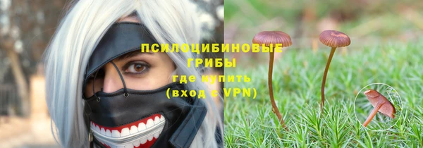 бошки Гусиноозёрск