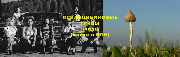 а пвп мука Гусев