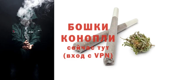 бошки Гусиноозёрск