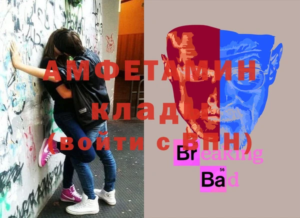 дмт Гусь-Хрустальный