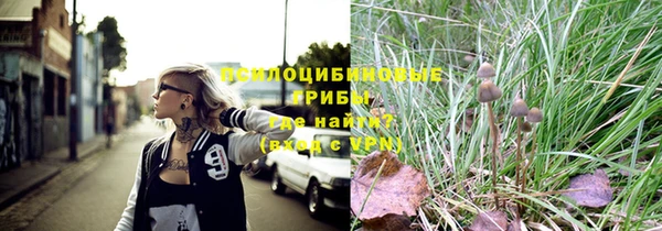 дмт Гусь-Хрустальный