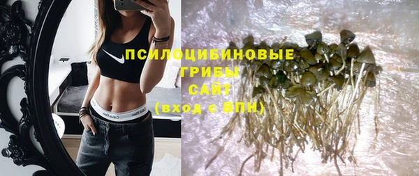 прущие крисы Дмитров