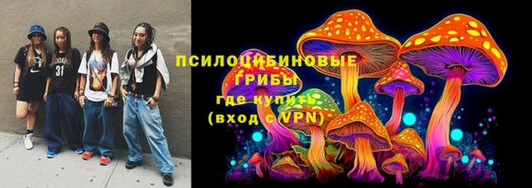 эйфоретик Дмитриев
