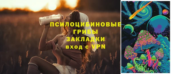 бошки Гусиноозёрск