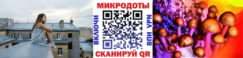 Купить  Амурск  Галлюциногенные грибы MAGIC MUSHROOMS 